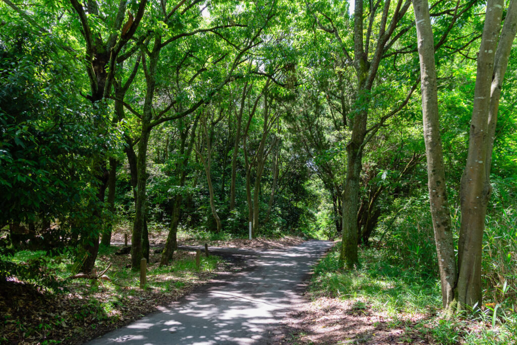 うみの森ほいくえん