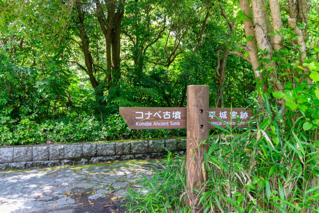 うみの森ほいくえん