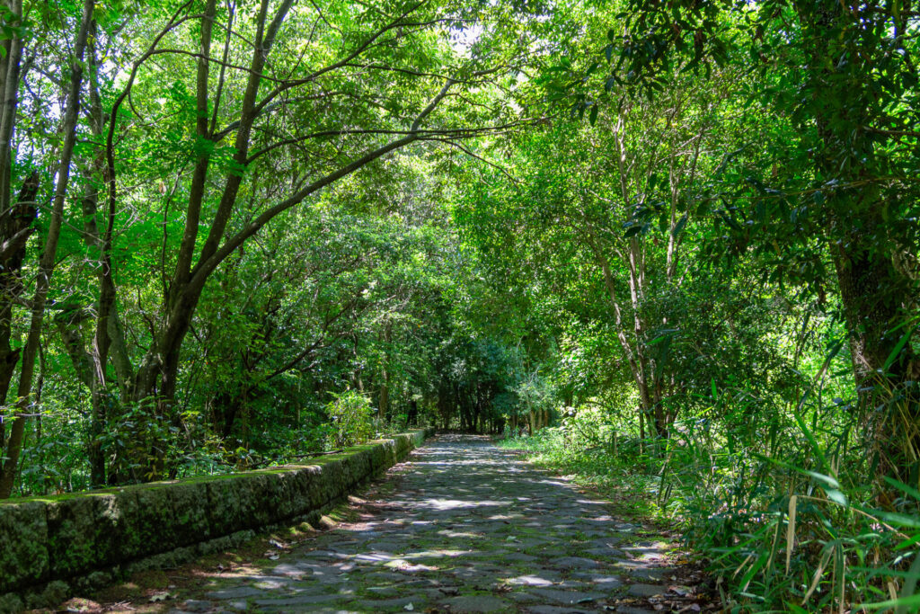 うみの森ほいくえん