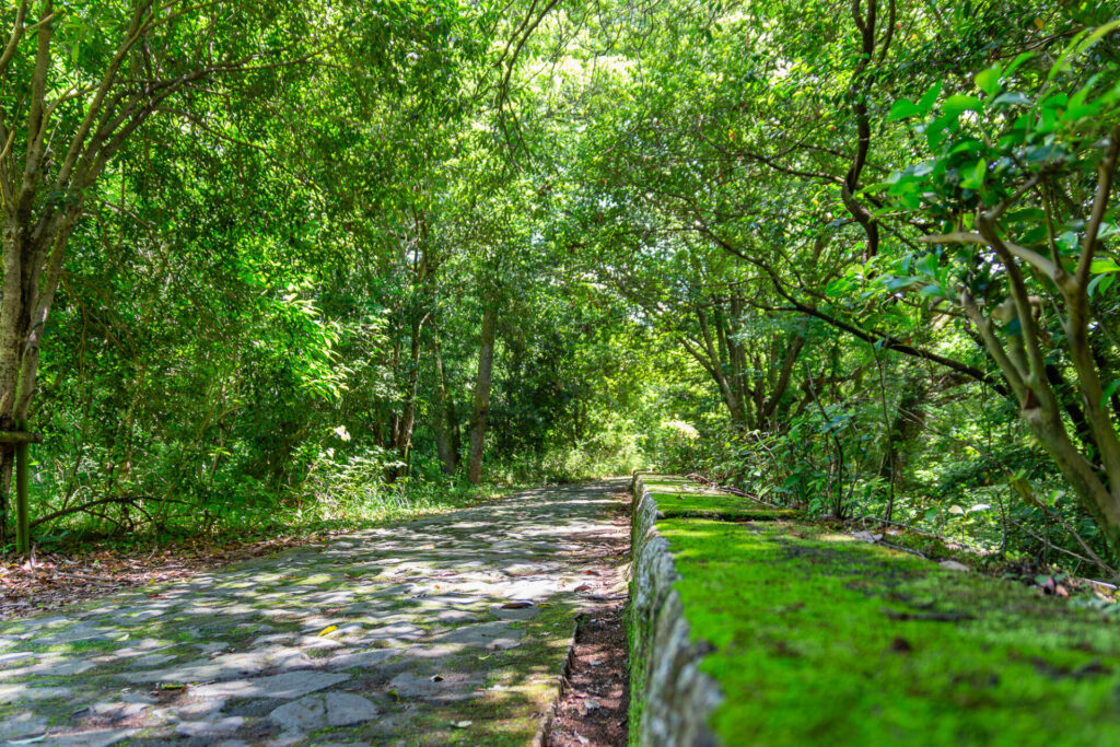 うみの森ほいくえん